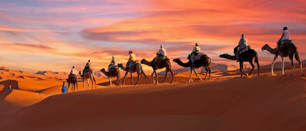 caravane-de-chameaux-traversant-le-desert-du-sahara-au-maroc-au-coucher-du-soleil